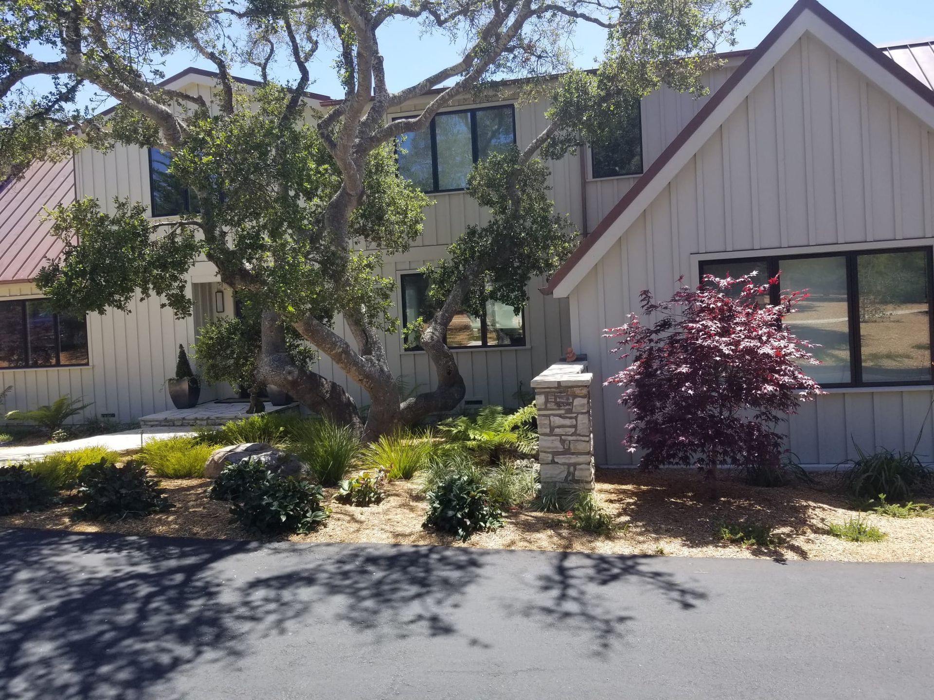 Modern house exterior with a large tree, shrubs, and a stone mailbox by the driveway