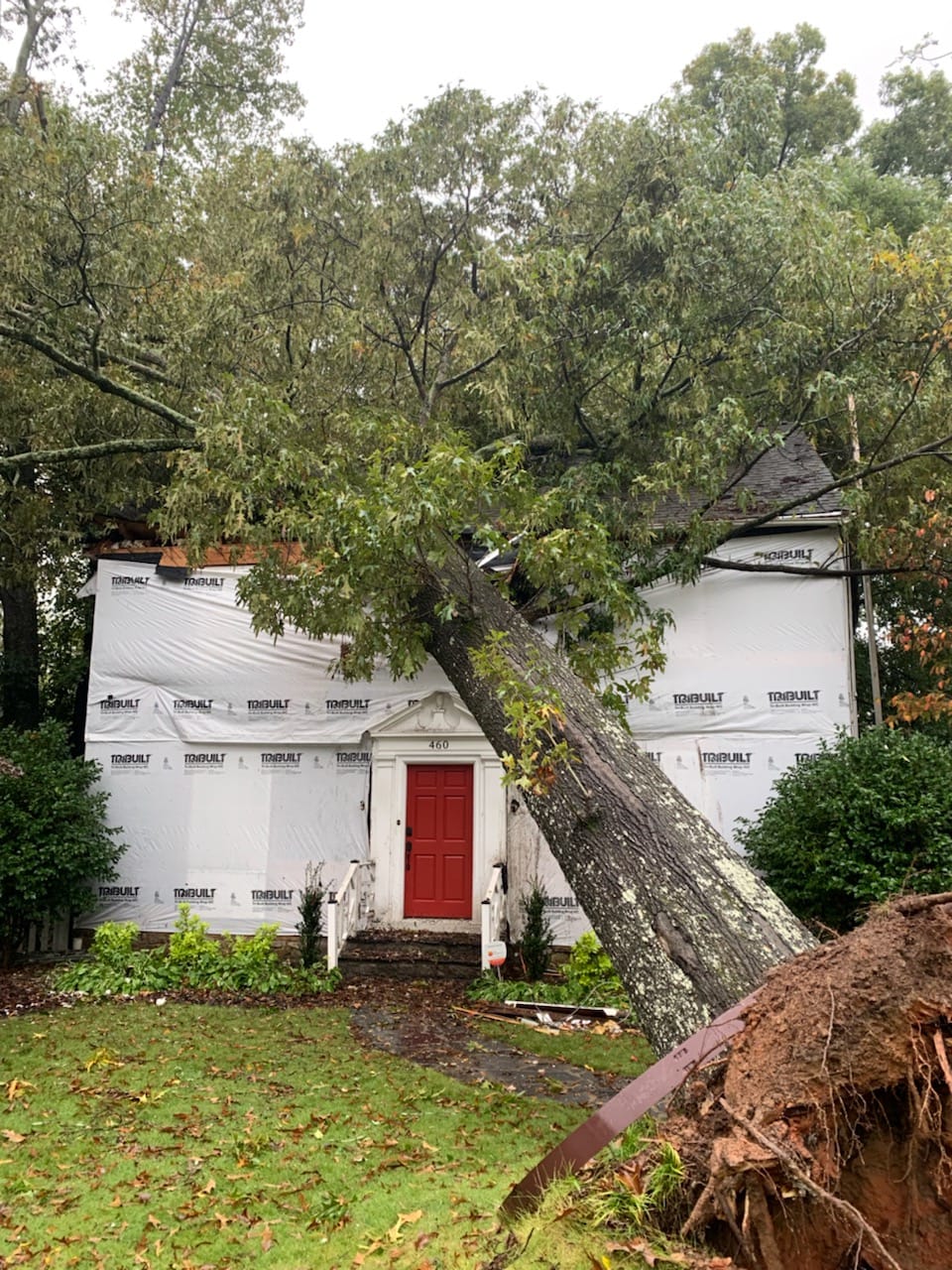 Emergency tree removal
