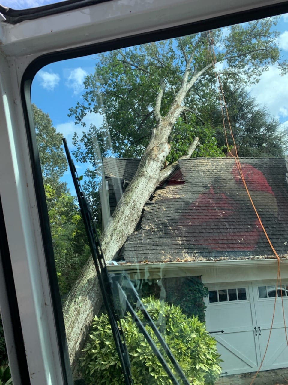 Emergency tree removal