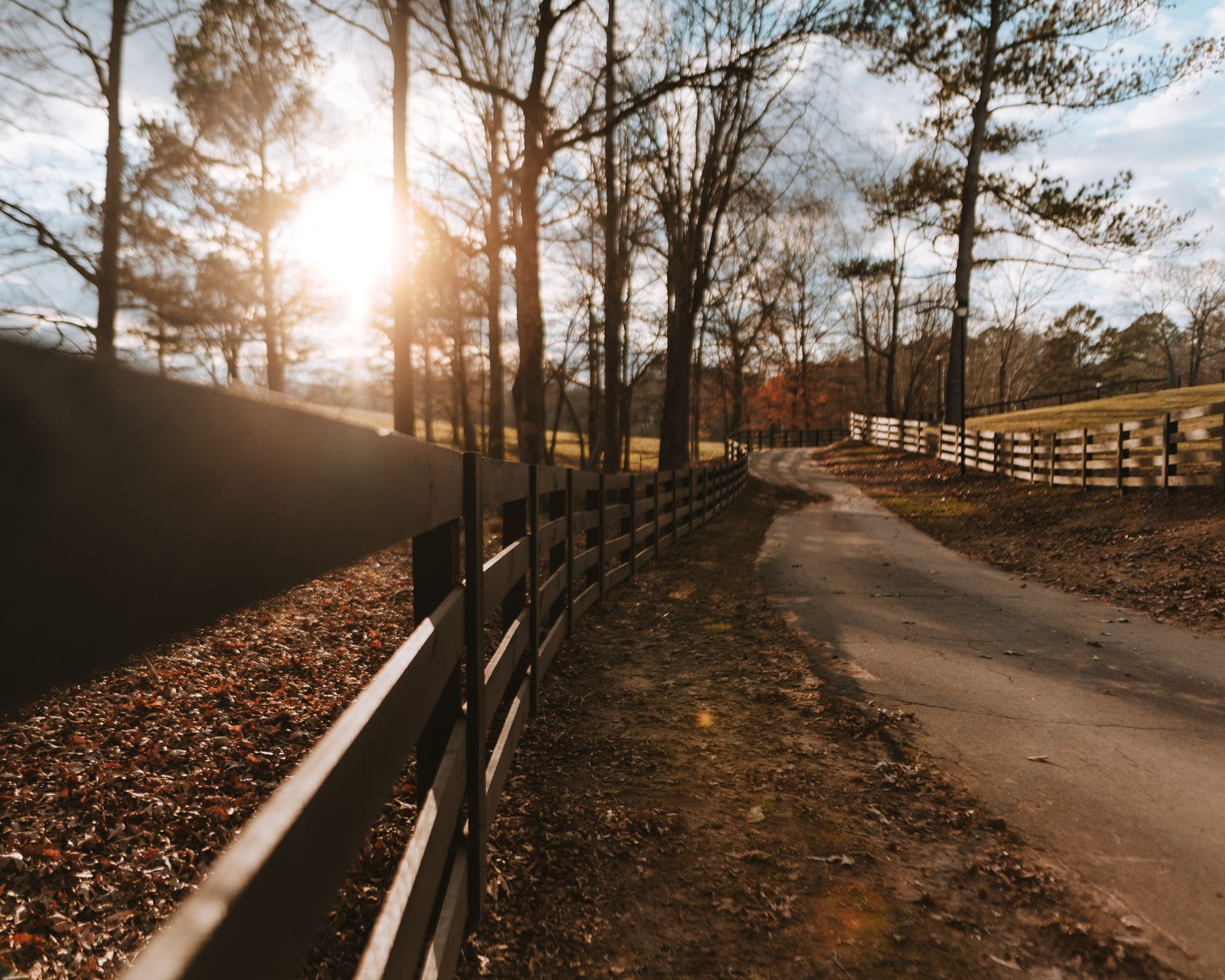The sun is shining through the trees behind a wooden fence.