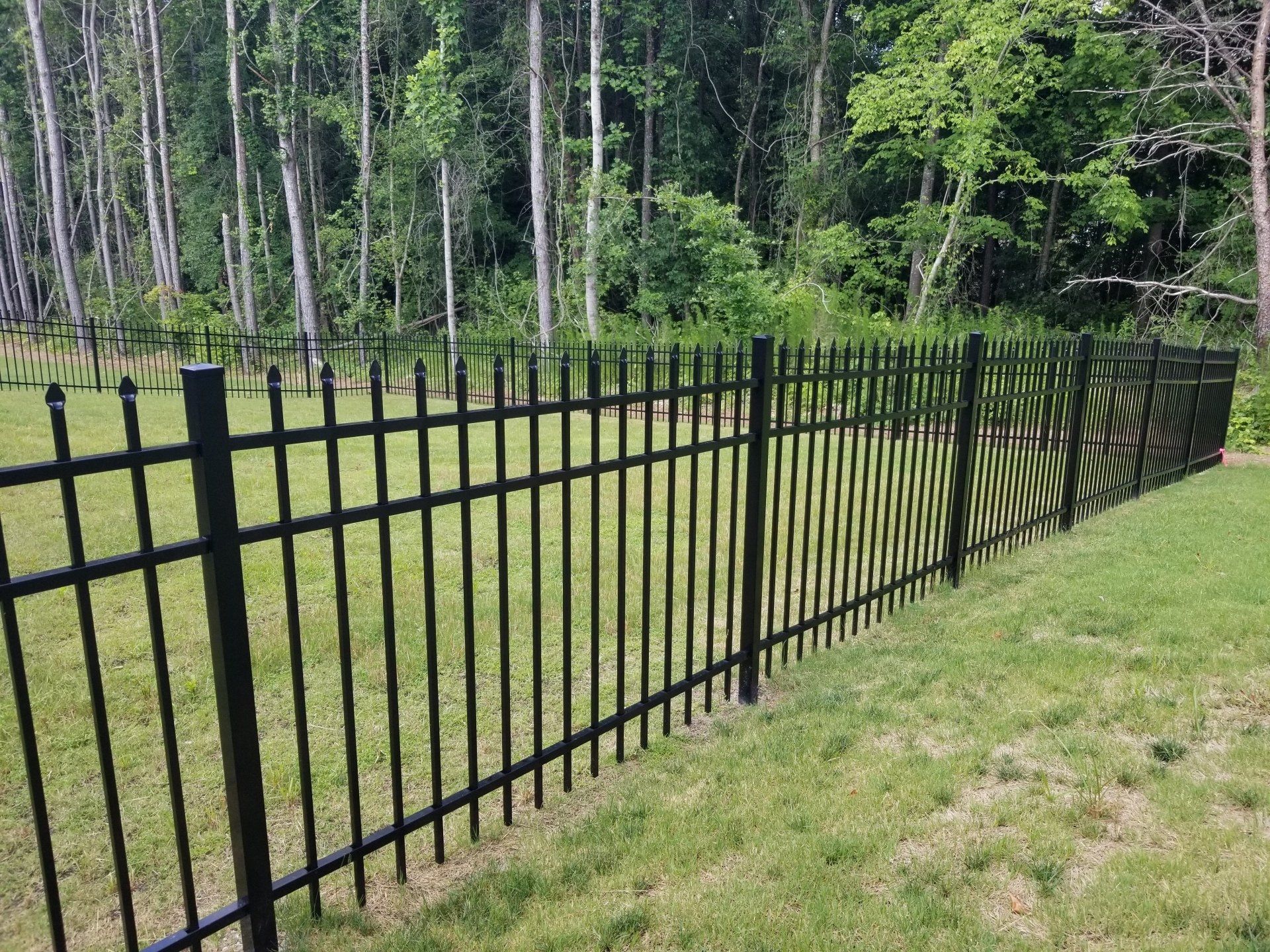 A black metal fence surrounds a lush green field.