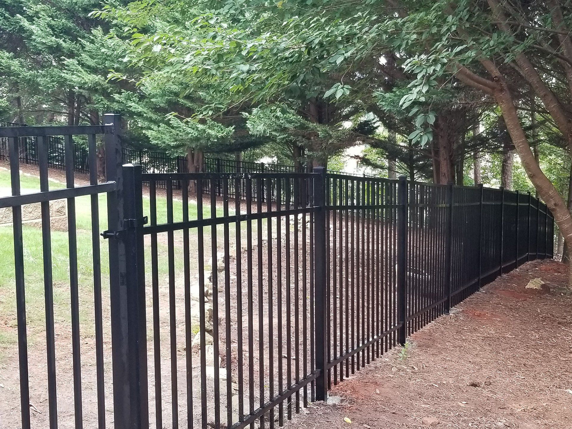 A black metal fence is surrounded by trees in a park.