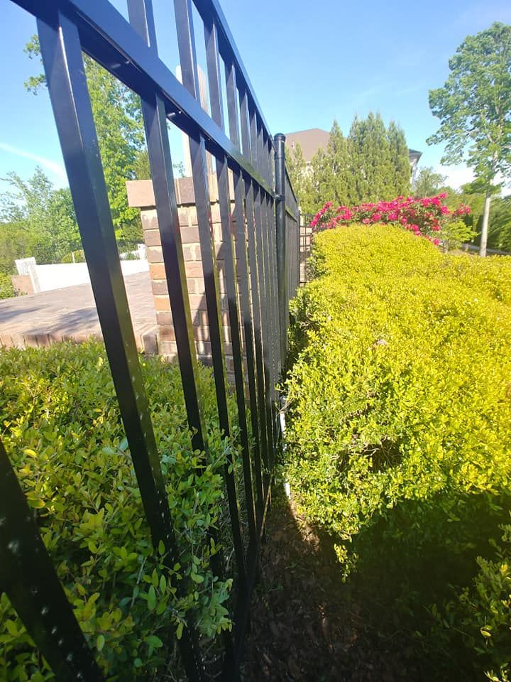 A black metal fence is surrounded by bushes and trees.