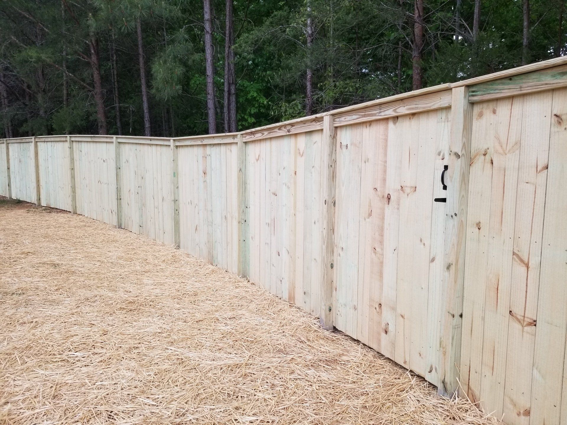 A wooden fence is surrounded by wood chips and trees.