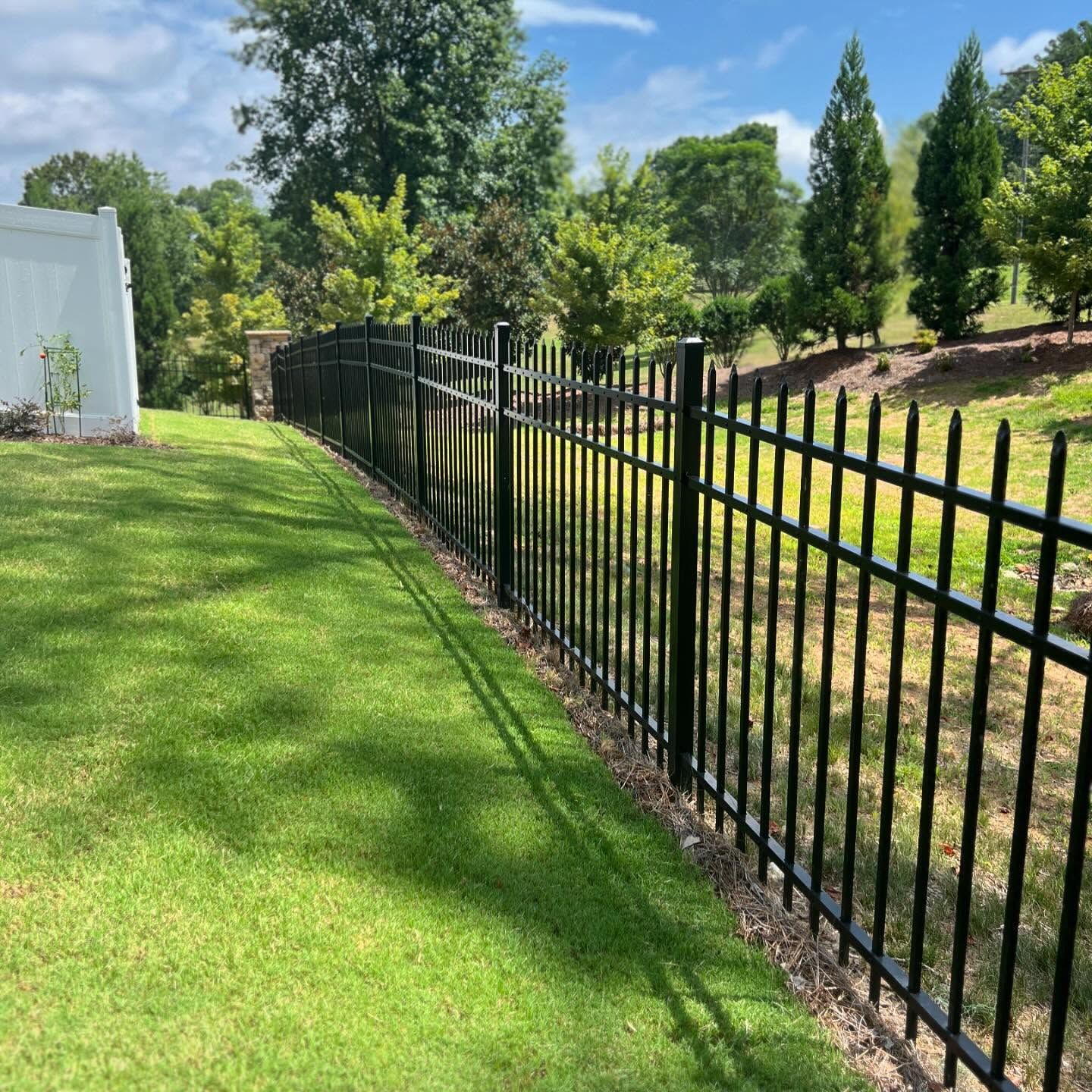 A black metal fence surrounds a lush green field.