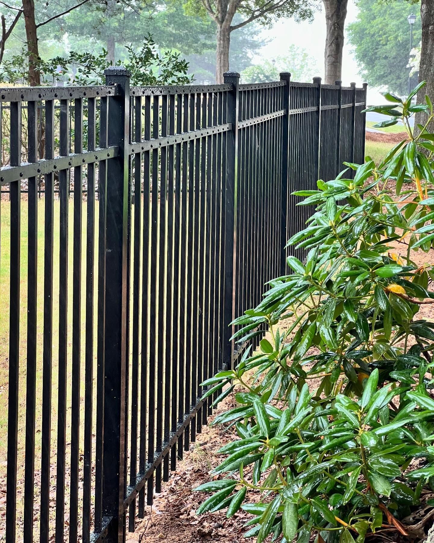 A black metal fence surrounds a bush in a yard.