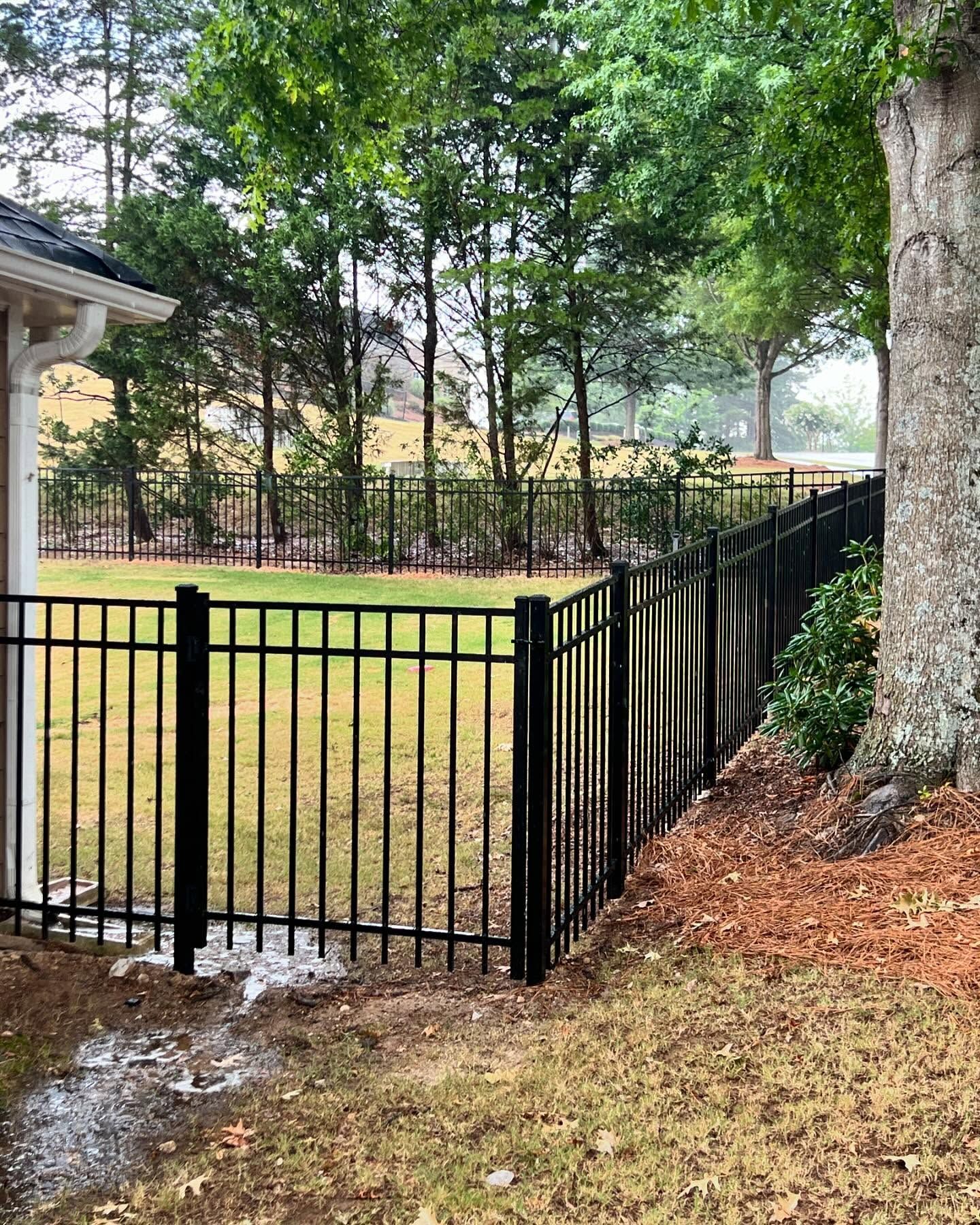 A black fence surrounds a yard with trees in the background.