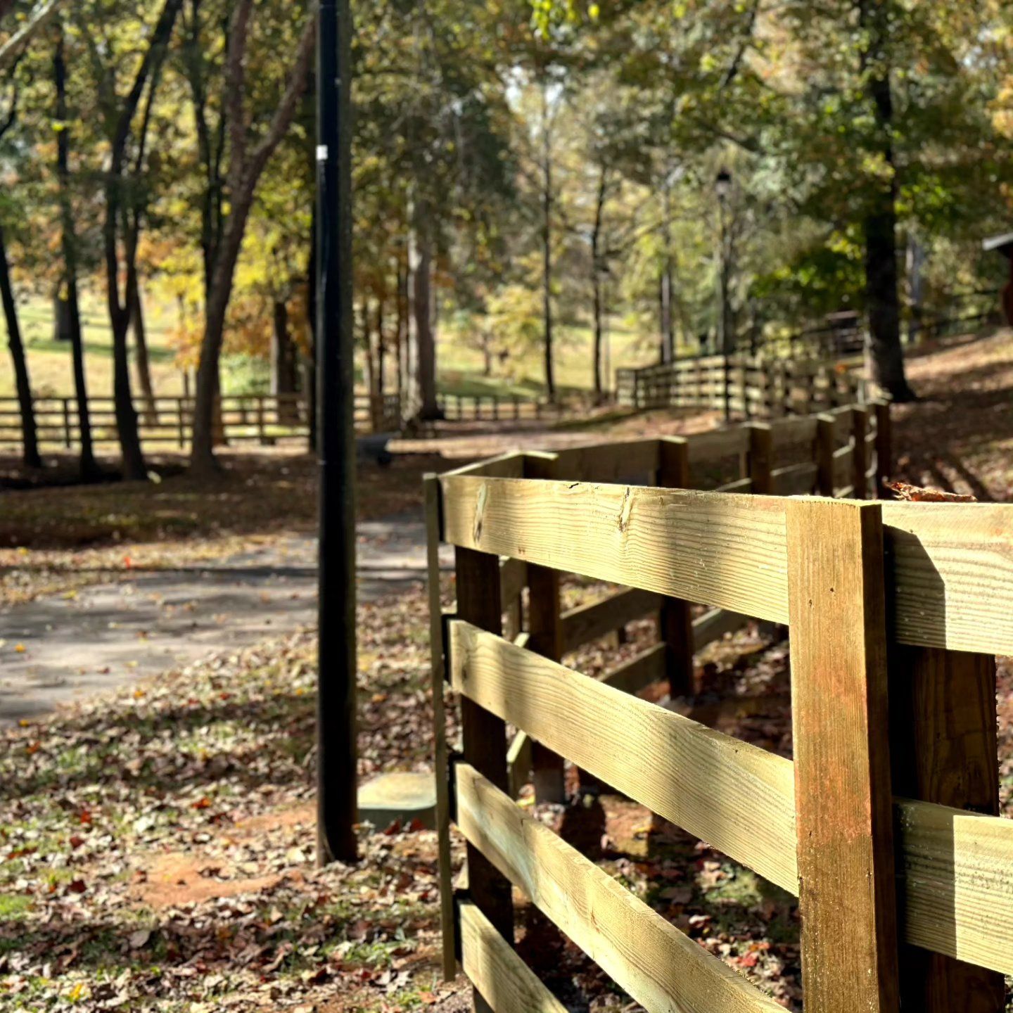 A wooden fence surrounds a dirt road in the woods.