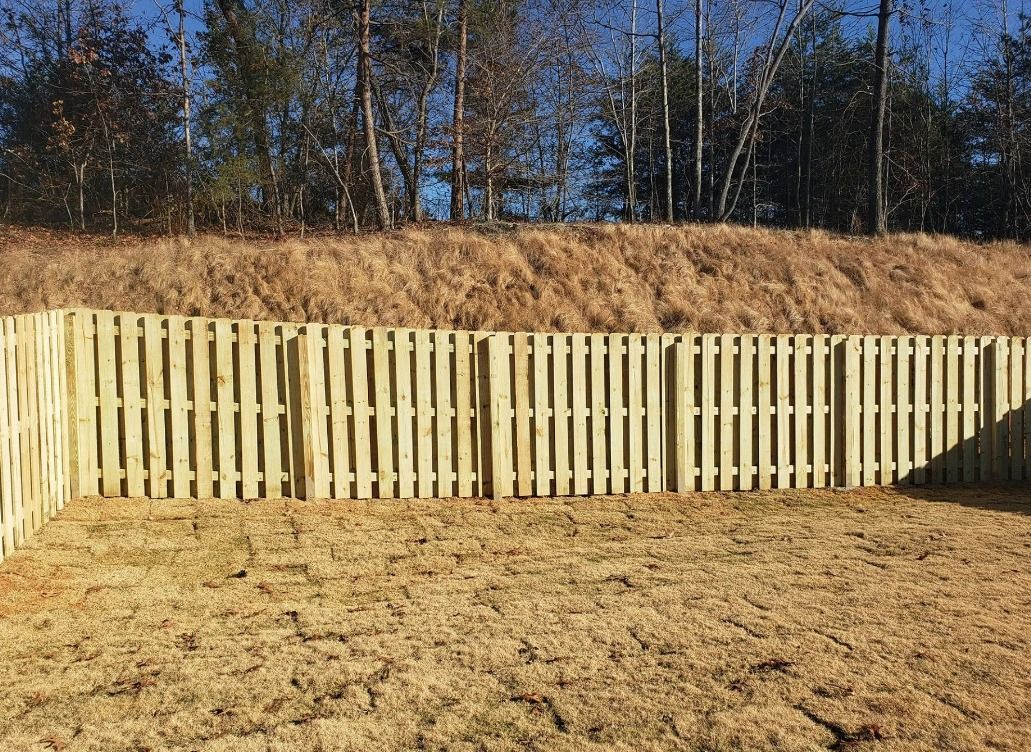A black fence surrounds a grassy field with trees in the background.