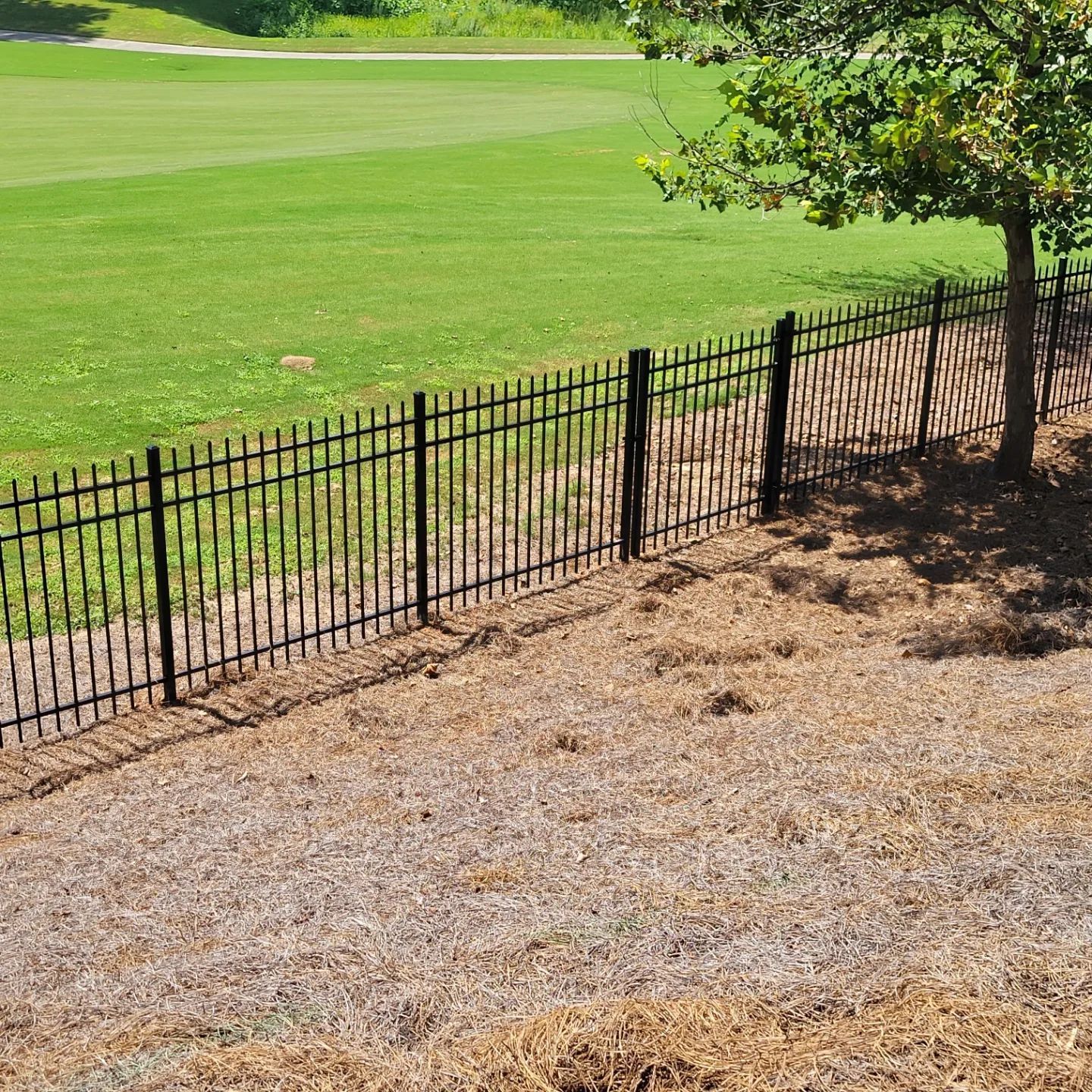 A black metal fence surrounds a grassy field