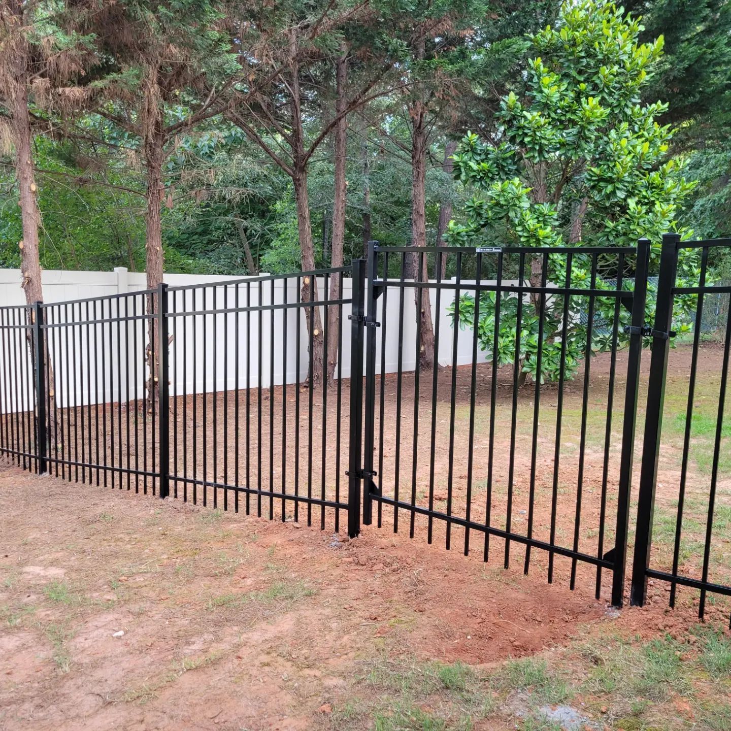 A black metal fence surrounds a yard with trees in the background.