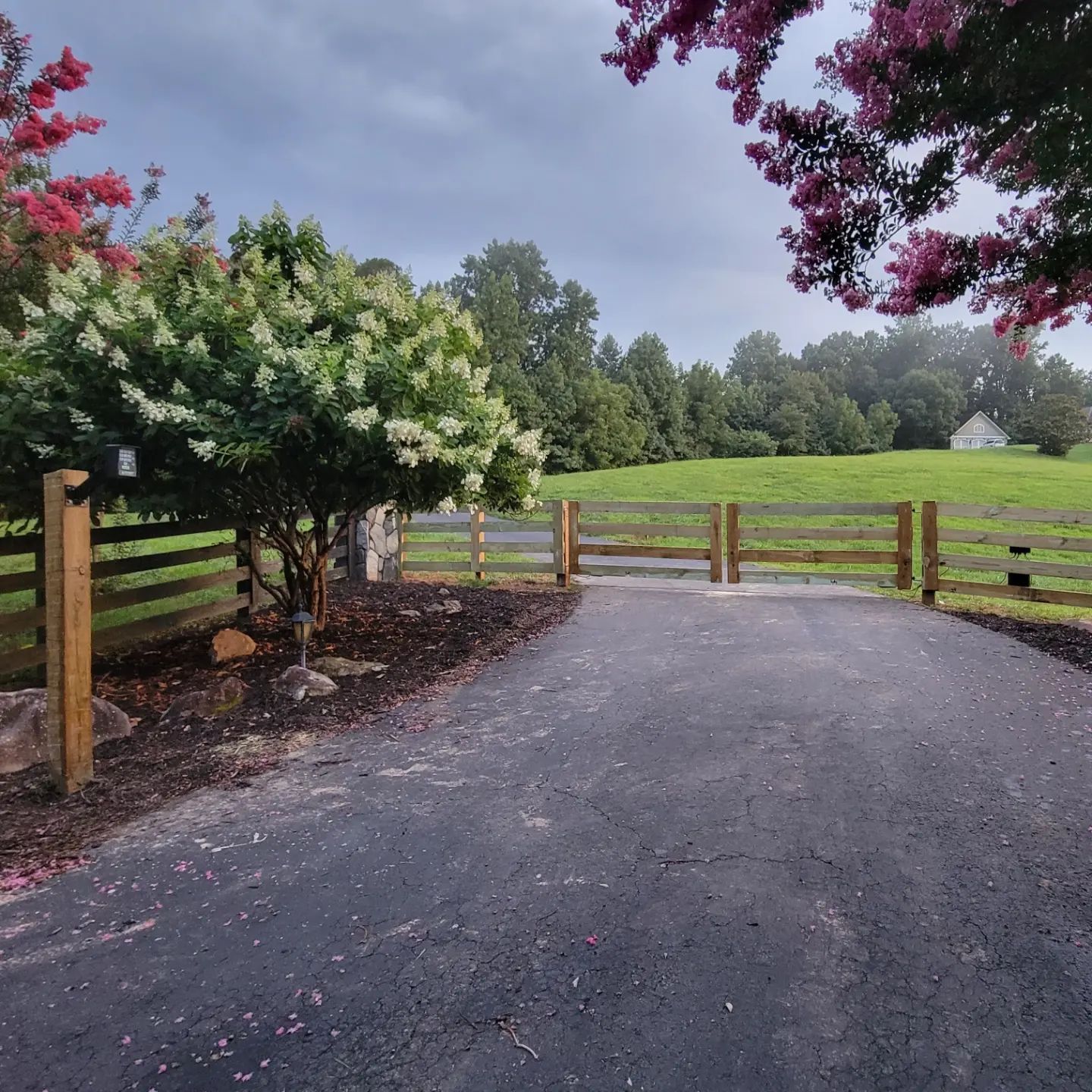A black fence surrounds a grassy field next to a road.