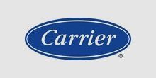 carrier
