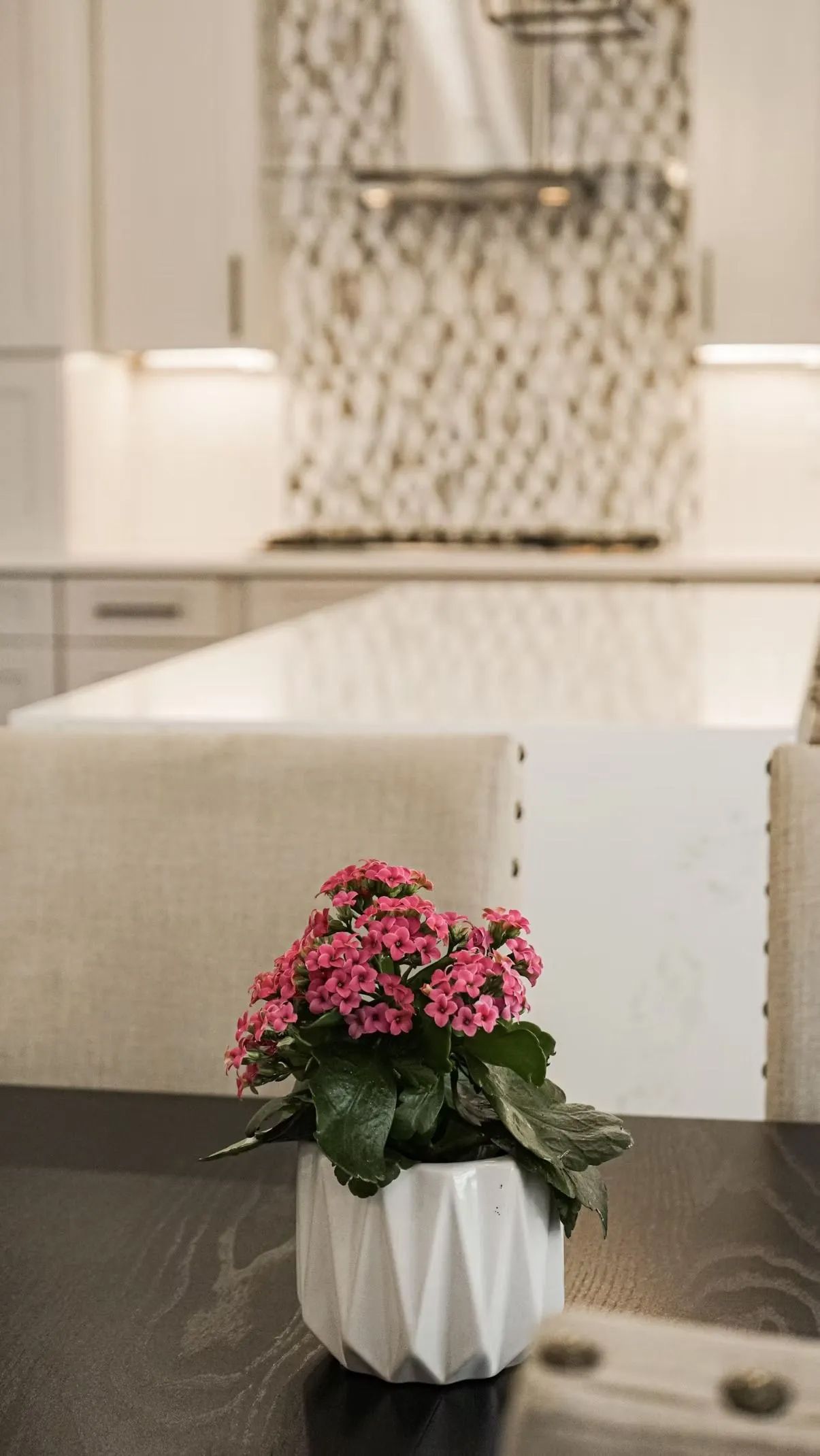 A pink flowering plant in a white geometric pot sits on a dark wood table, with a modern kitchen in the background.