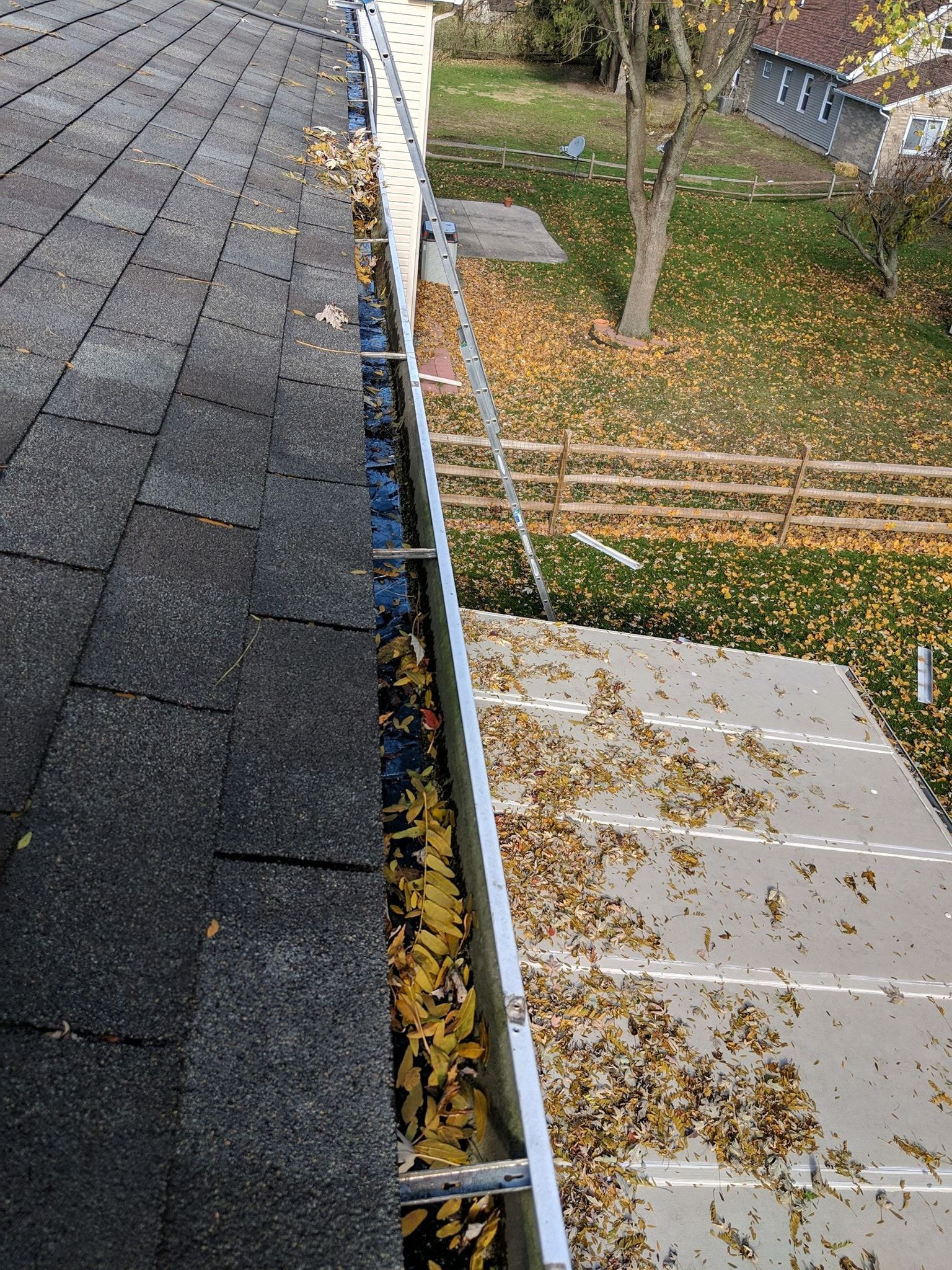 Roof gutter filled with yellow leaves, viewed from above with a ladder.