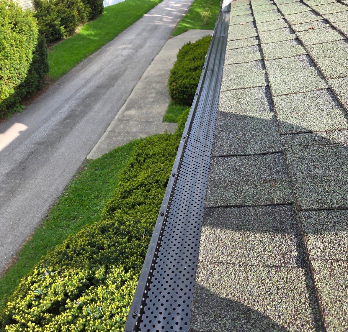 Roof edge and gutter beside a driveway, with green hedges and sunlight on gray shingles.