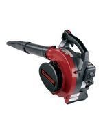 Red and black handheld leaf blower on a white background