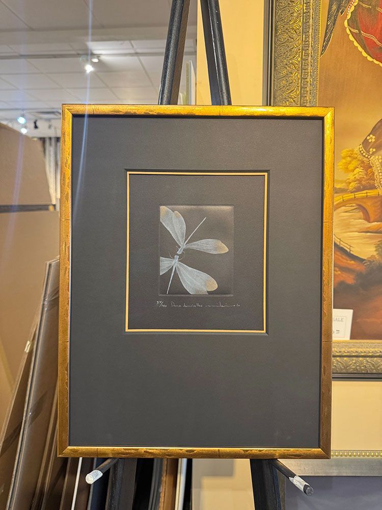 Framed artwork of a plant with delicate leaves, on a black background with gold frame