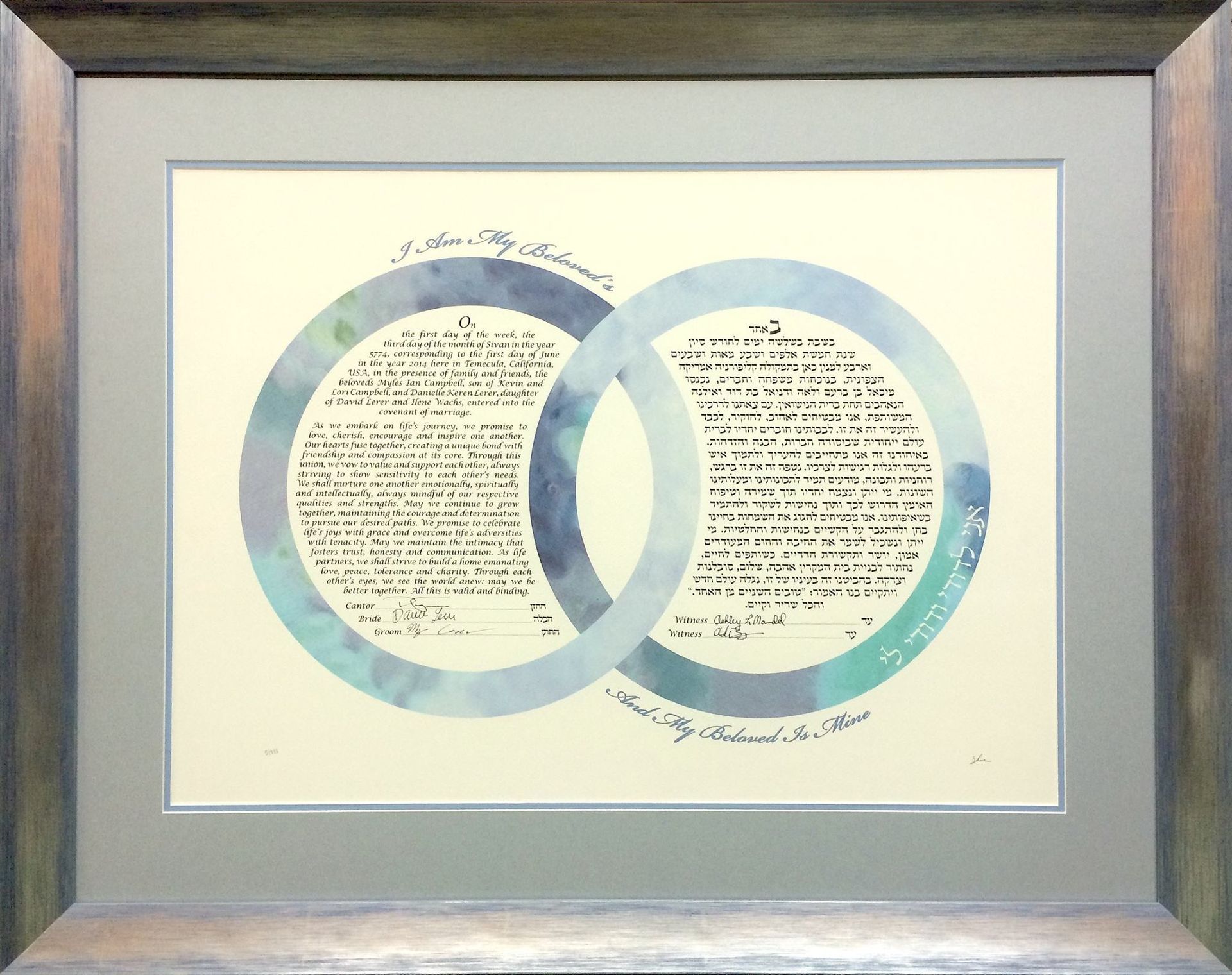 Framed Venn diagram artwork with overlapping blue circles and text on a cream background