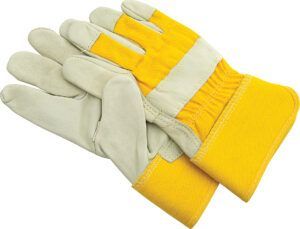 gloves