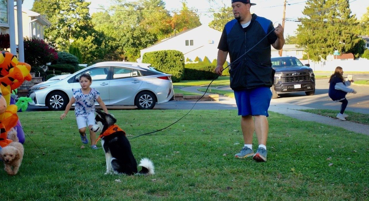 A man in shorts working with a young black and white Huskie in the yard with young girl running nearby.