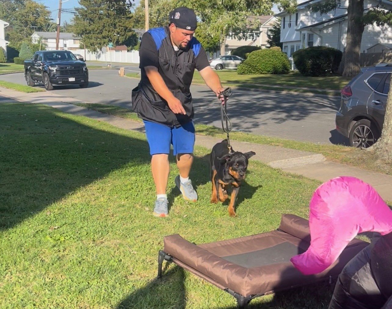 A man in shorts working with a young Rottweiler dog outside on the sidewalk.