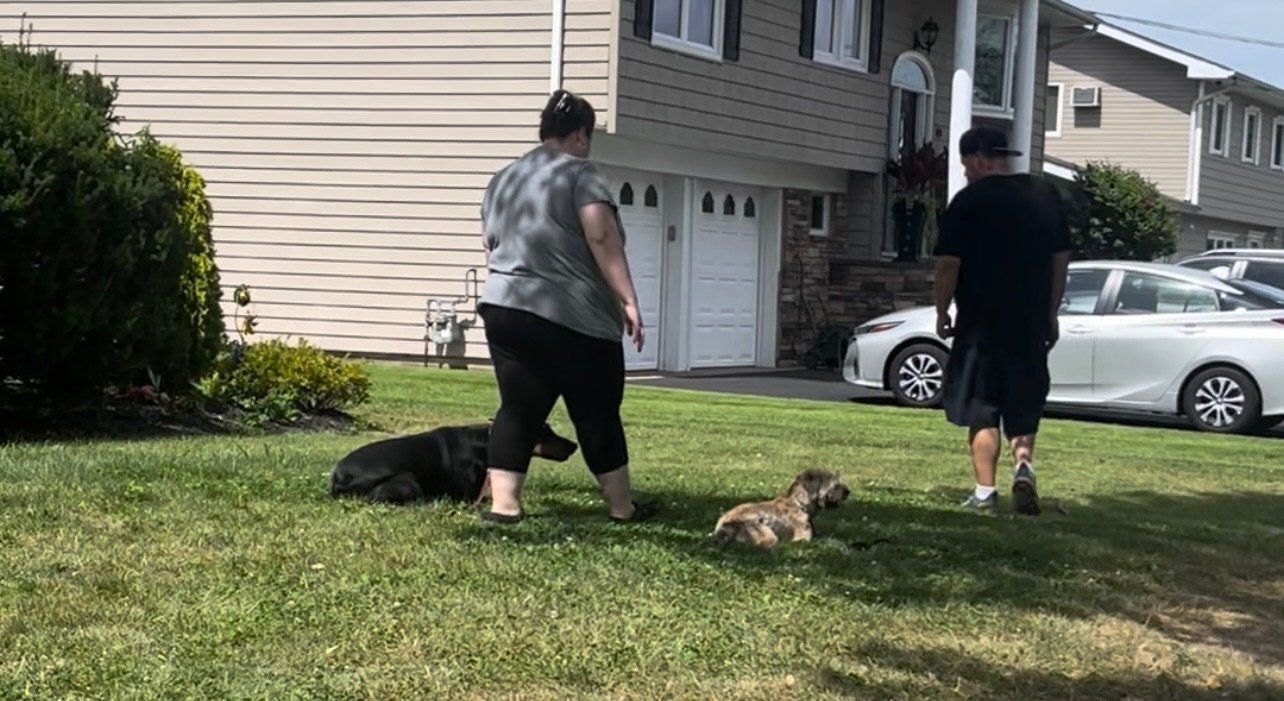 A man and woman working two young dogs in a side yard near a home.