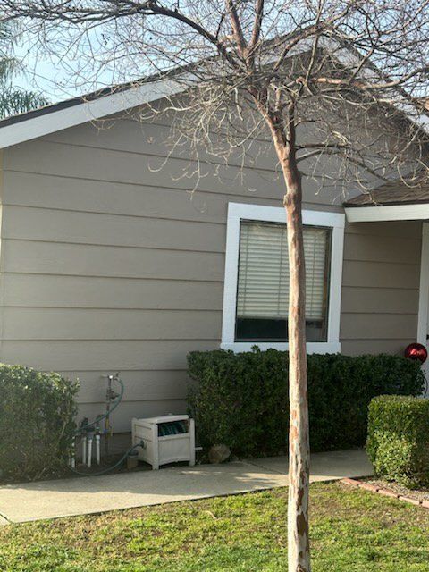 A house with a tree in front of it.