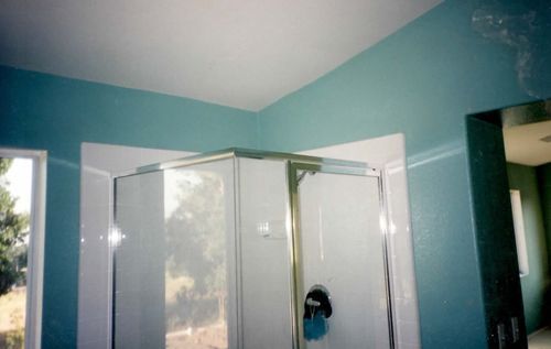 A bathroom with blue walls and a shower stall