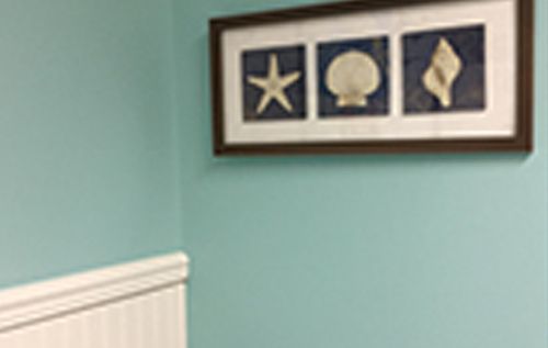 A picture of seashells and starfish is hanging on a blue wall.
