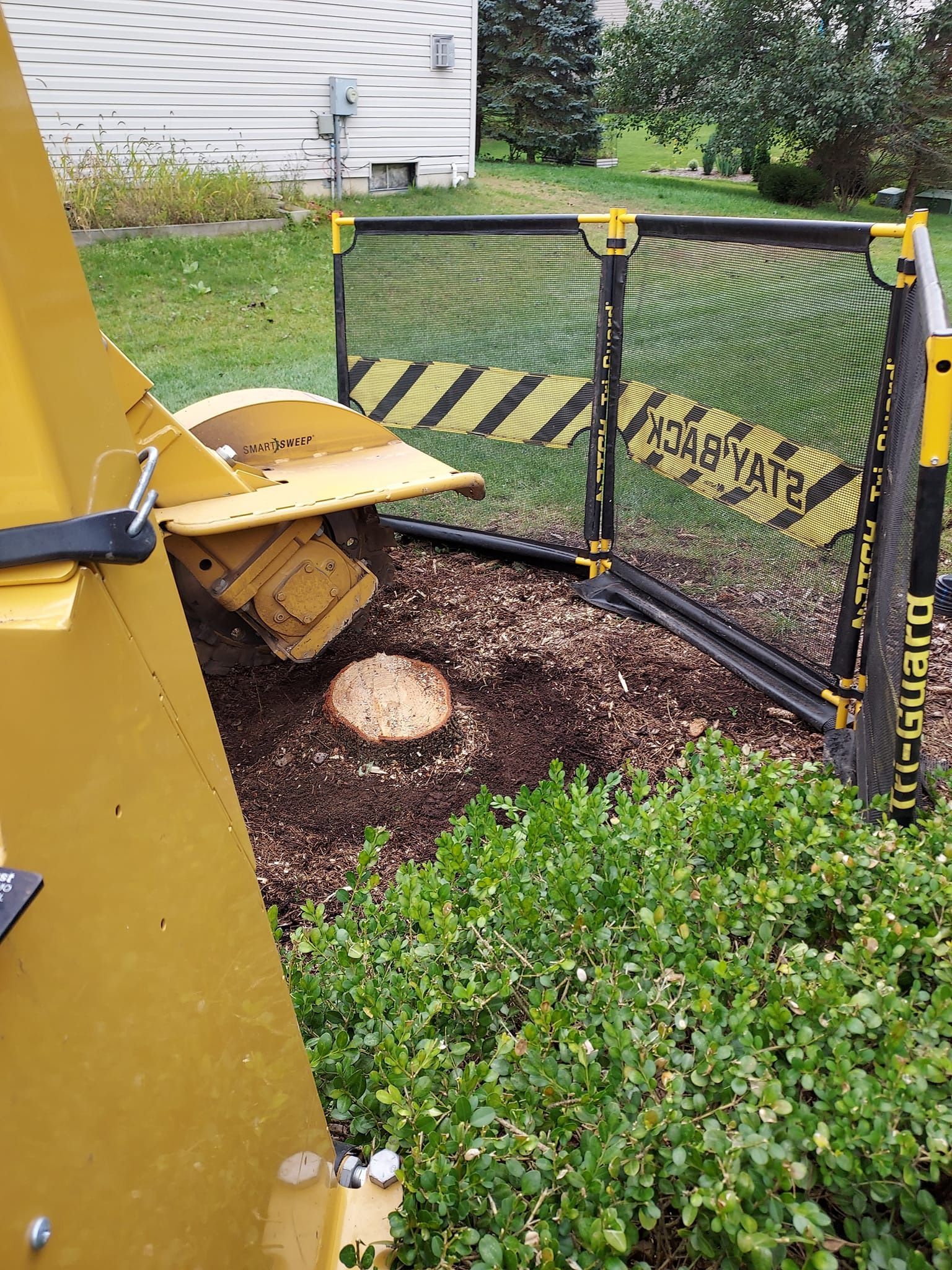 Stump Removal Jackson, MI | Total Tree Enterprise