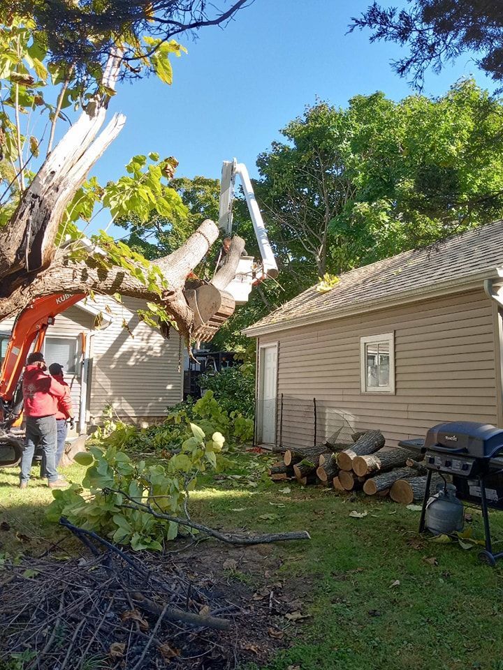 Tree Service