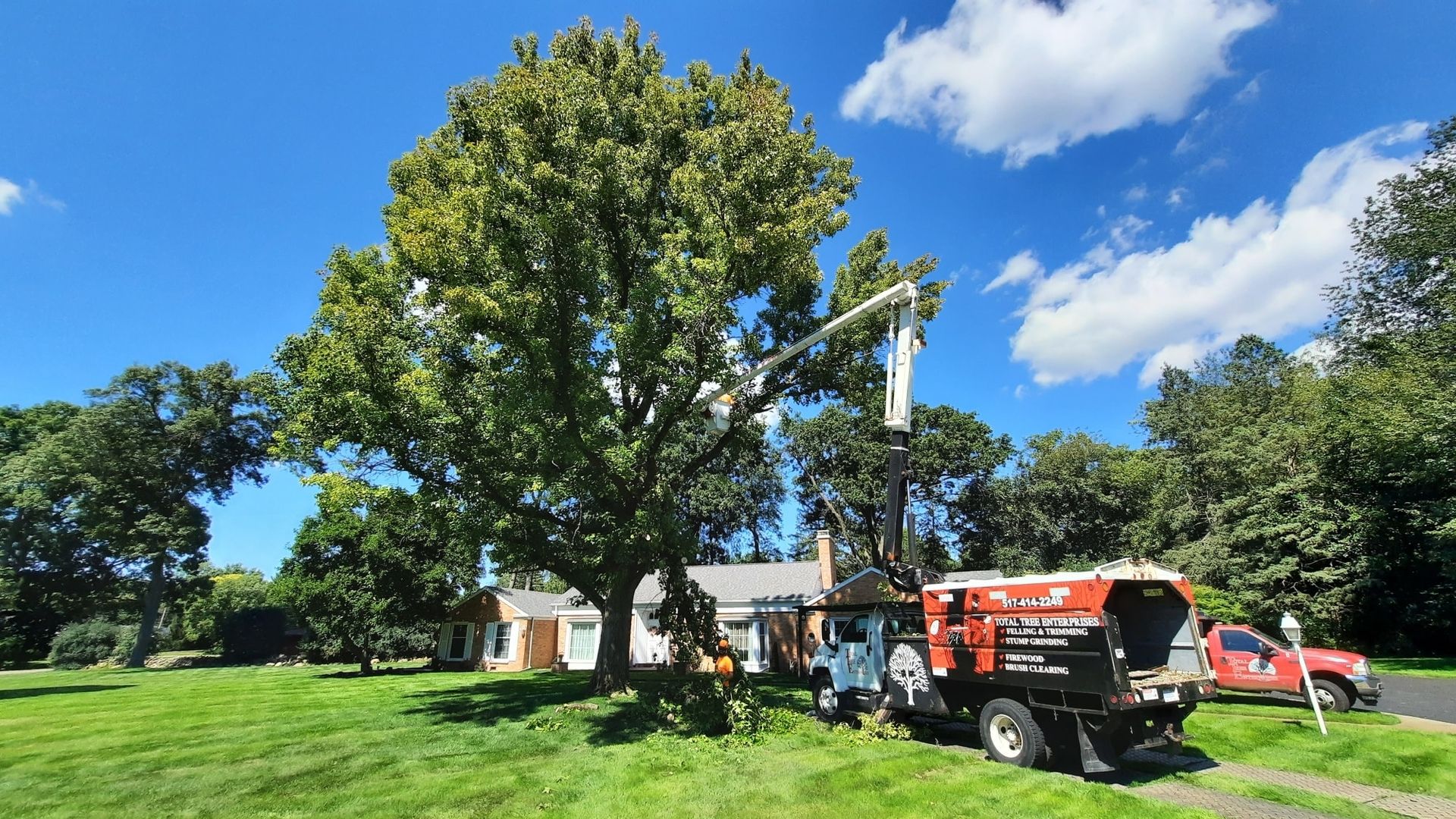 Tree Service