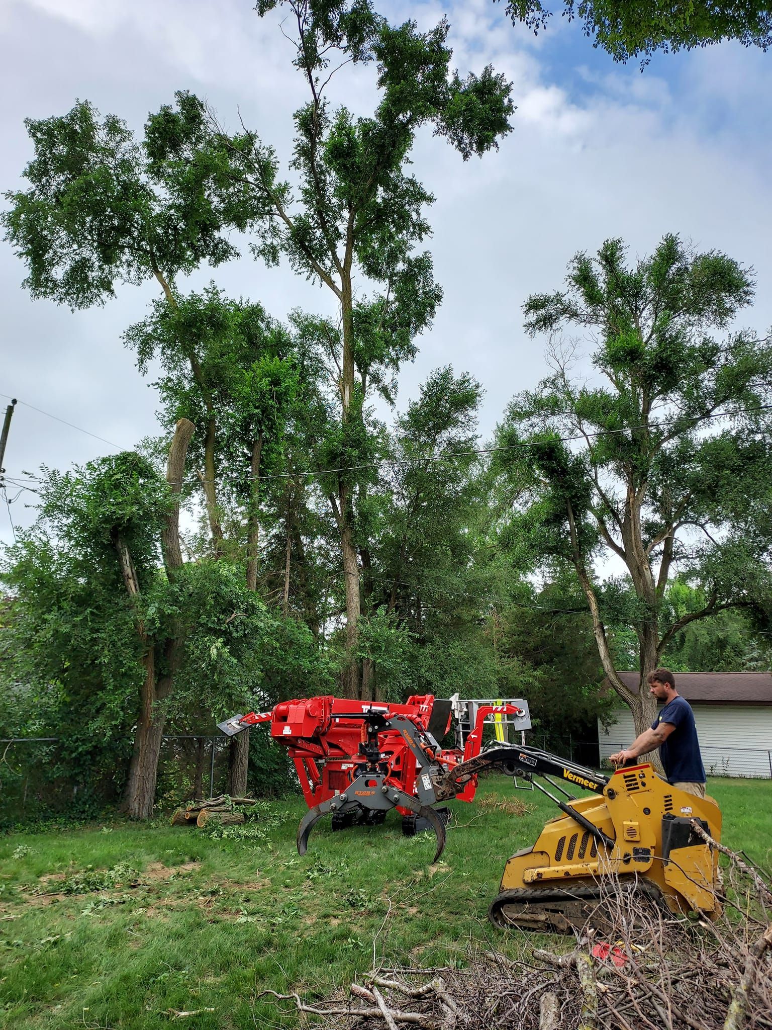 Tree Service