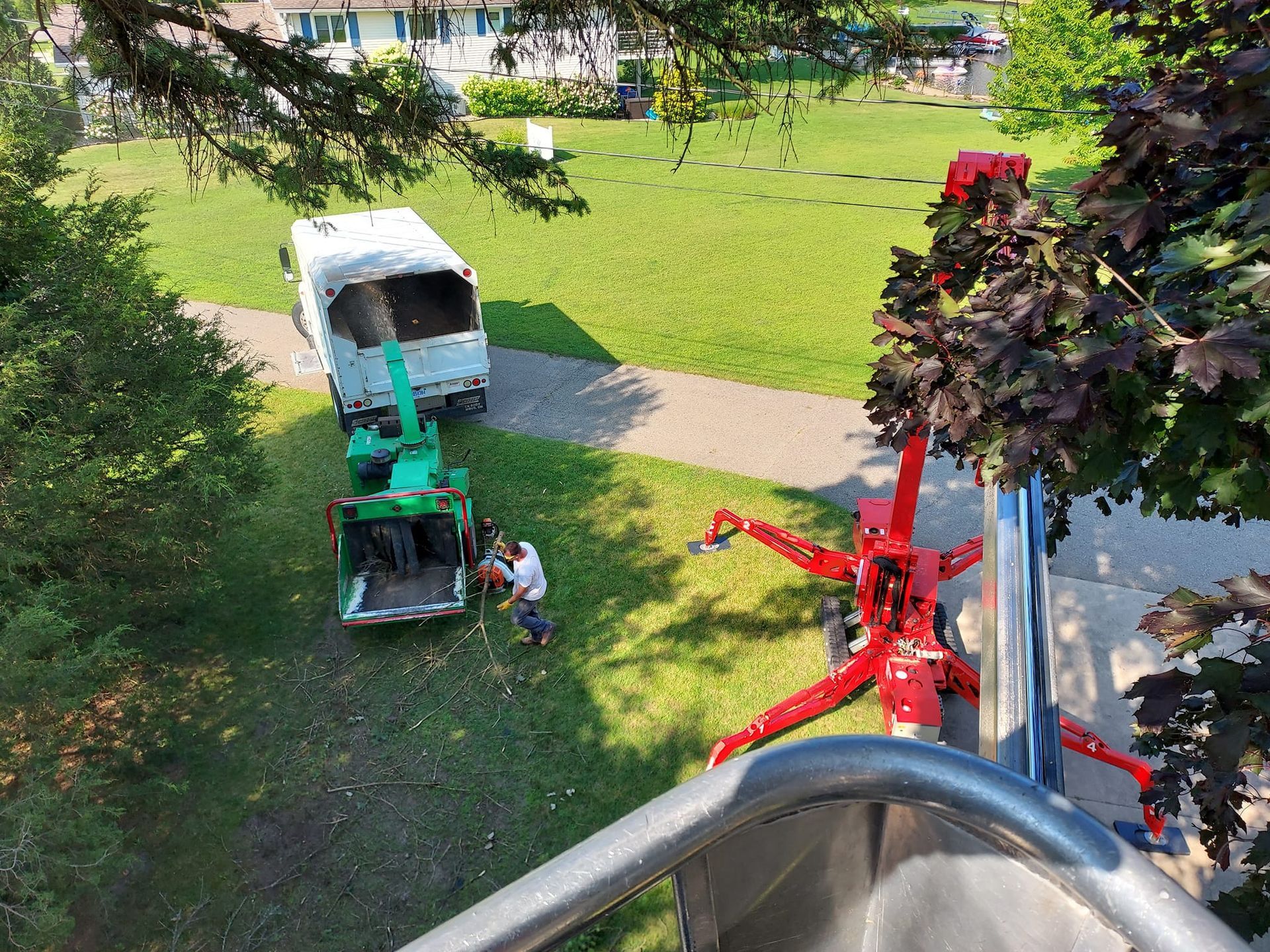 Tree Service