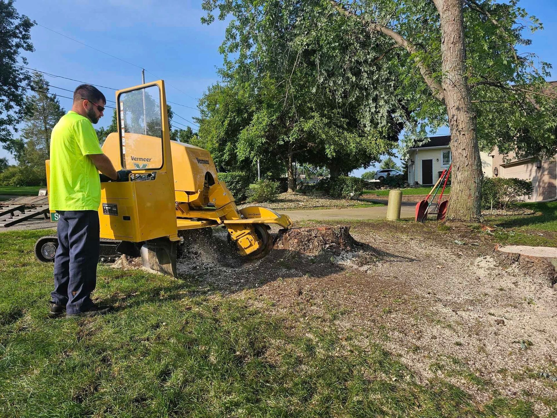 Tree Service