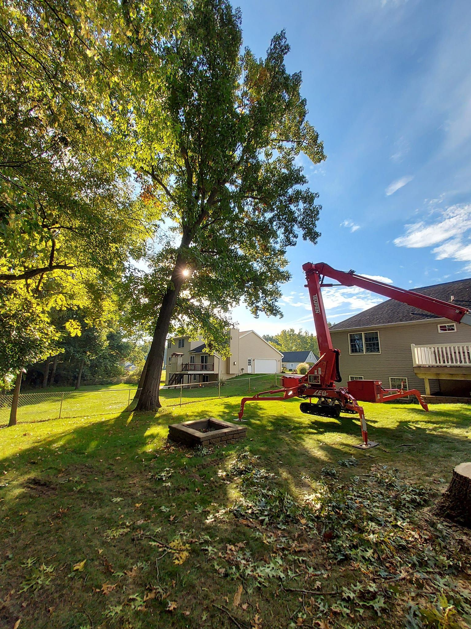 Tree Service