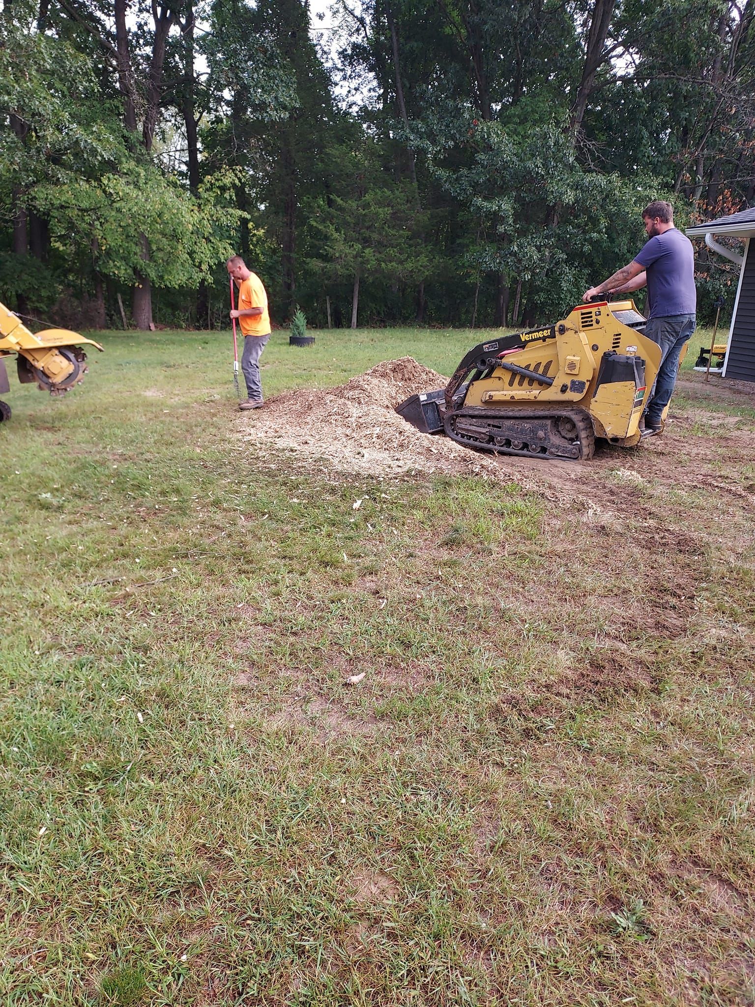 Tree Service Jackson, MI | Total Tree Enterprise