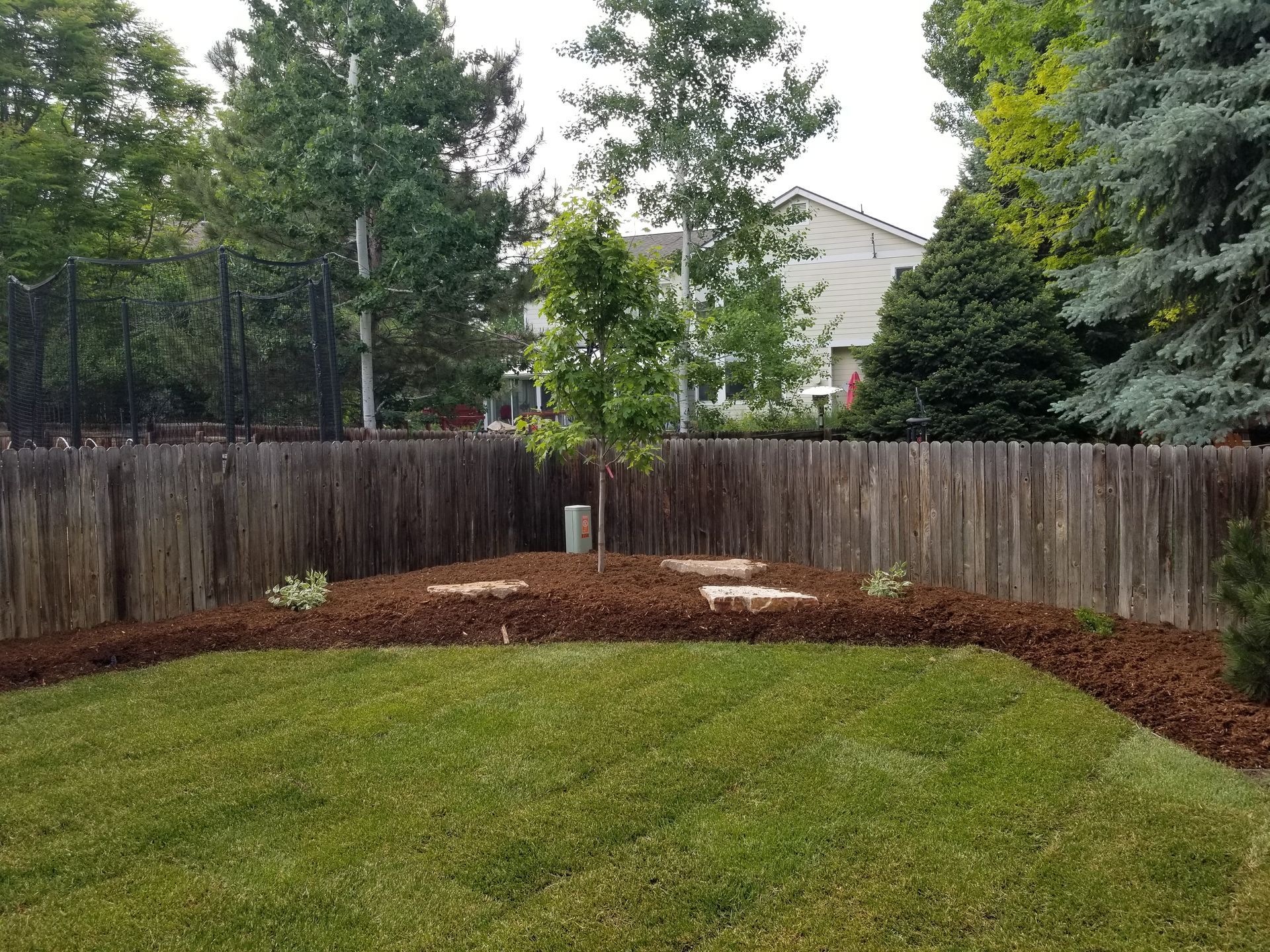 A backyard with a wooden fence and a lush green lawn
