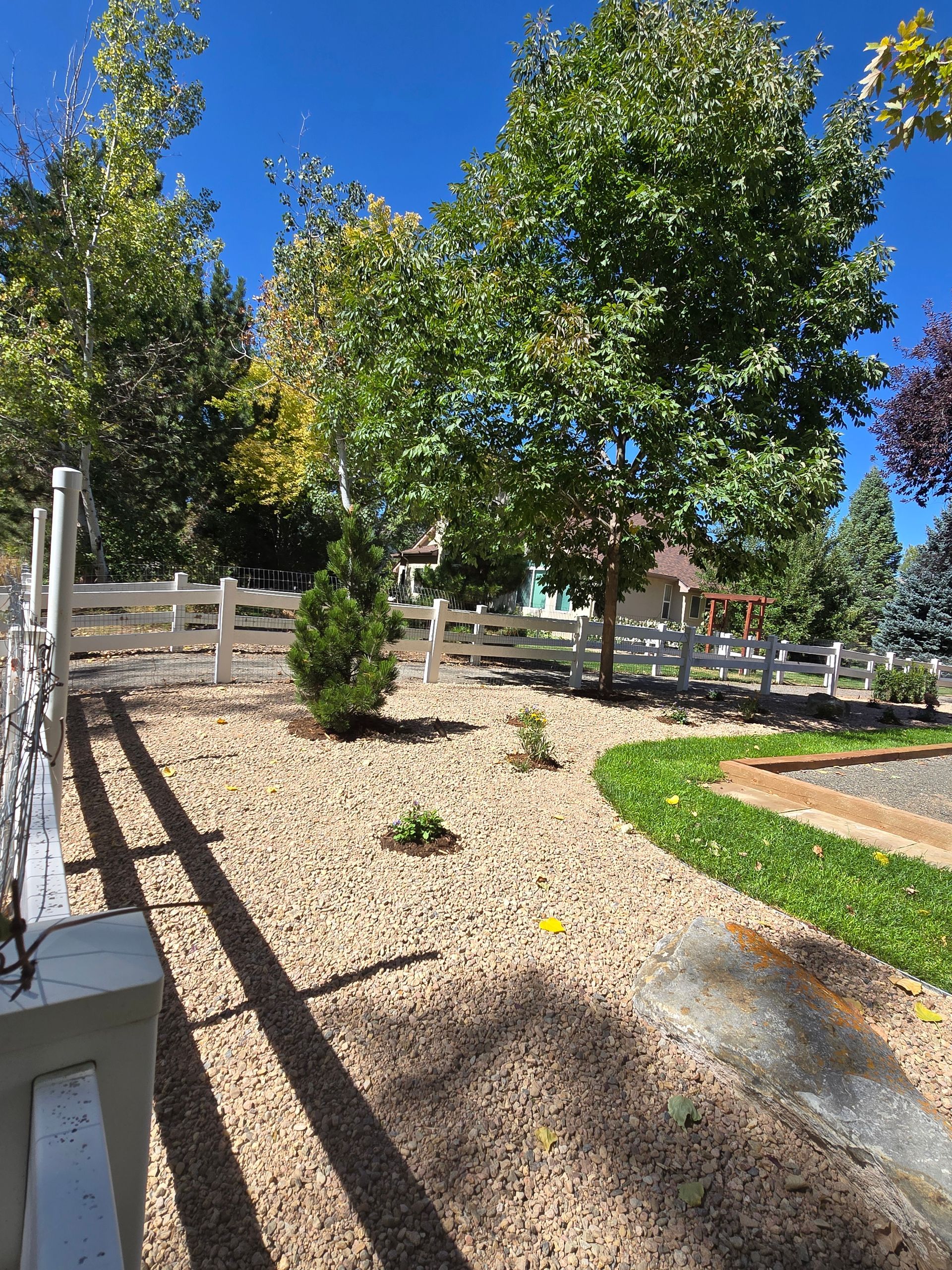 A white fence is surrounded by trees and gravel in a yard
