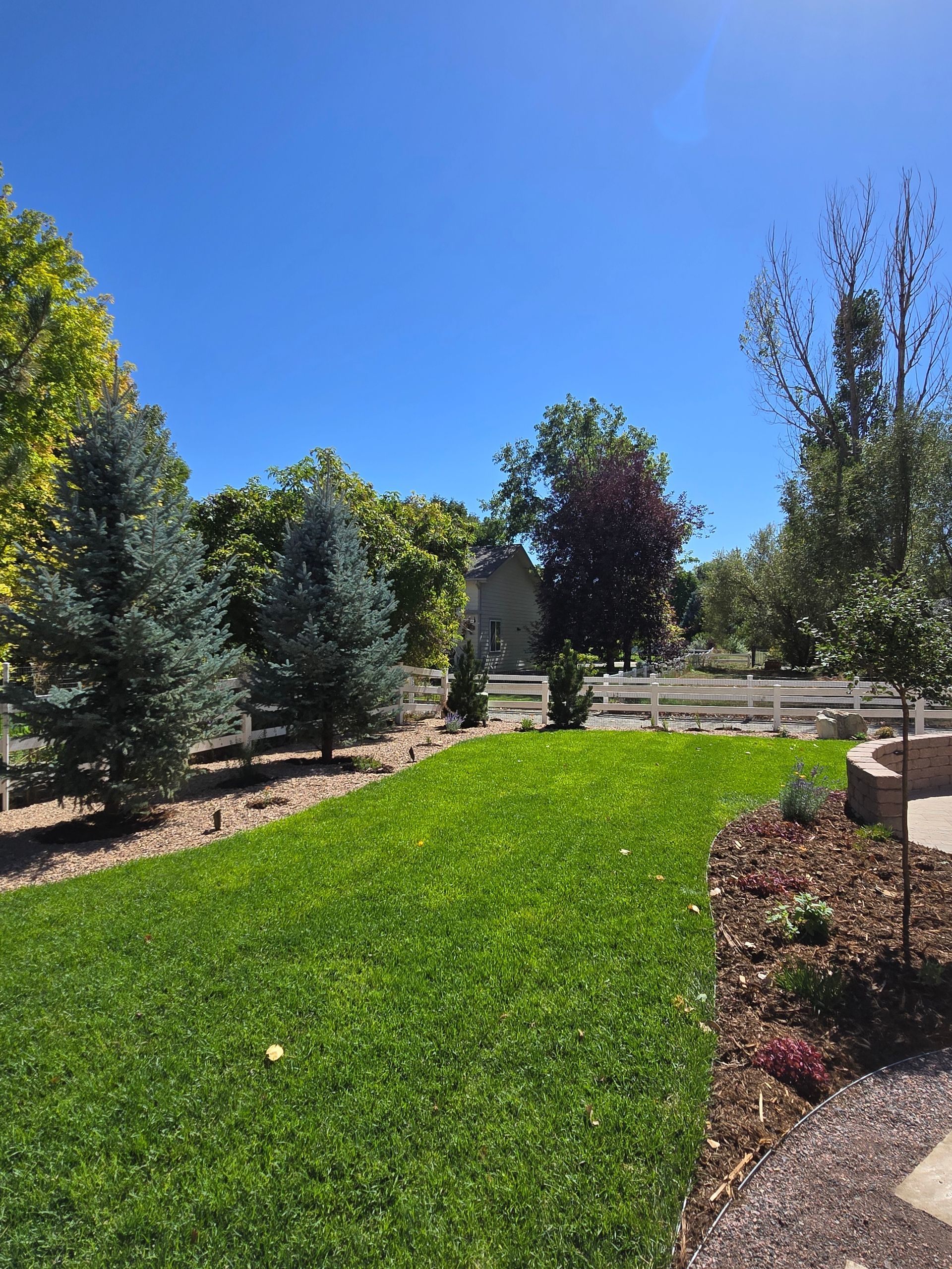 A lush green lawn with trees and a white fence in the background