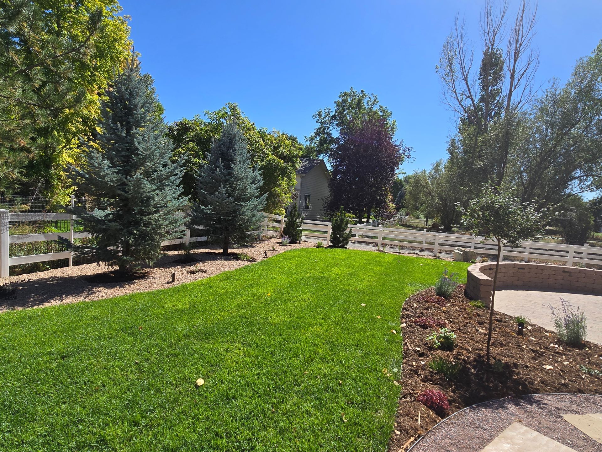 A lush green lawn with a white fence in the background