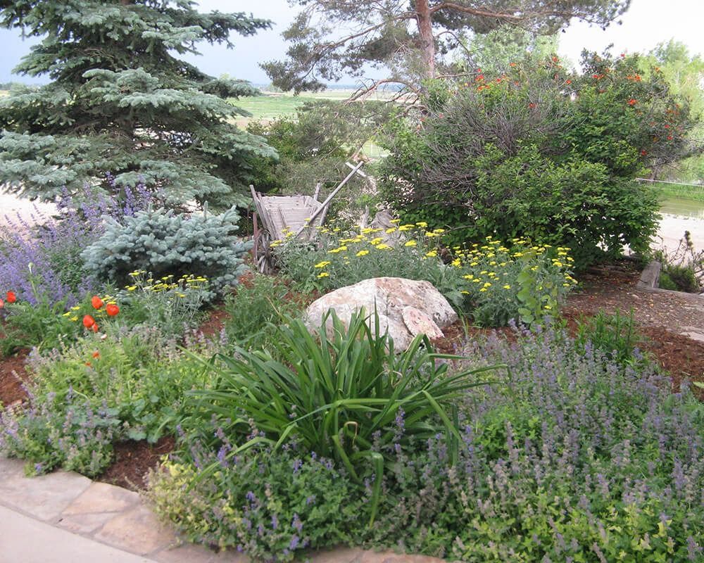 A garden filled with lots of plants and trees