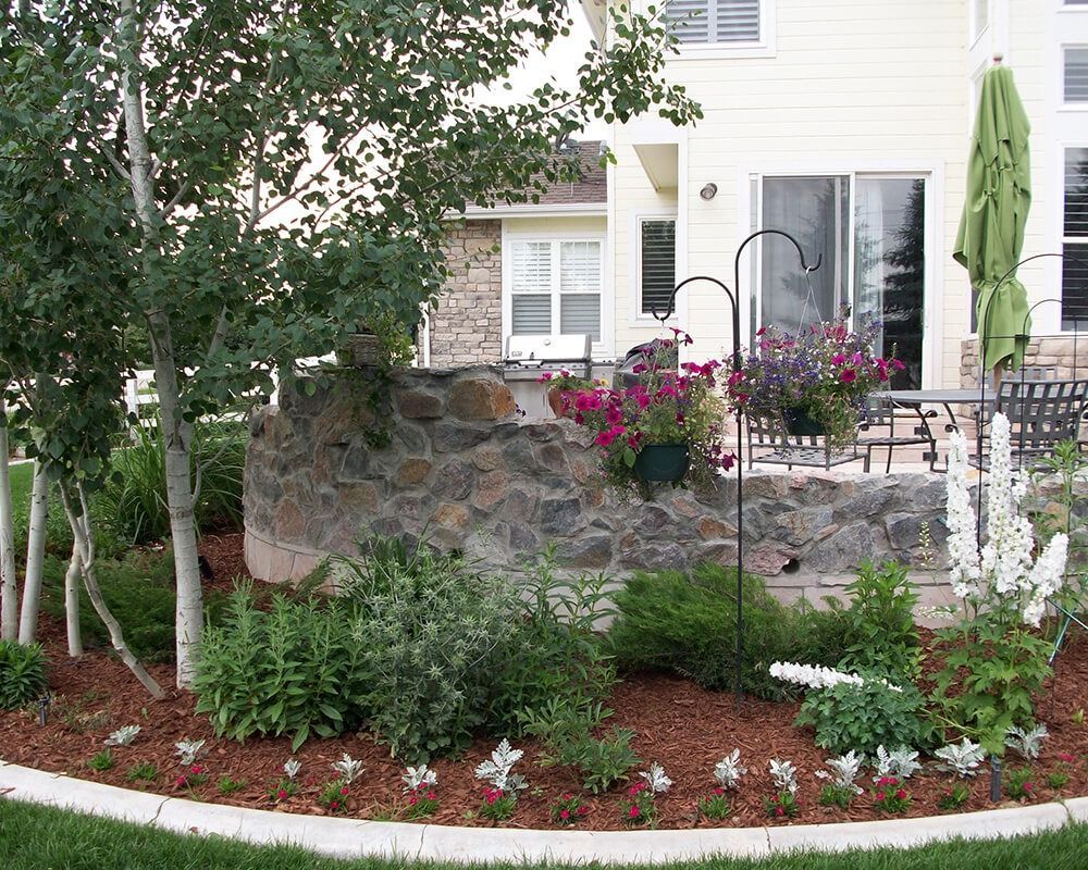 A garden with flowers and trees in front of a house