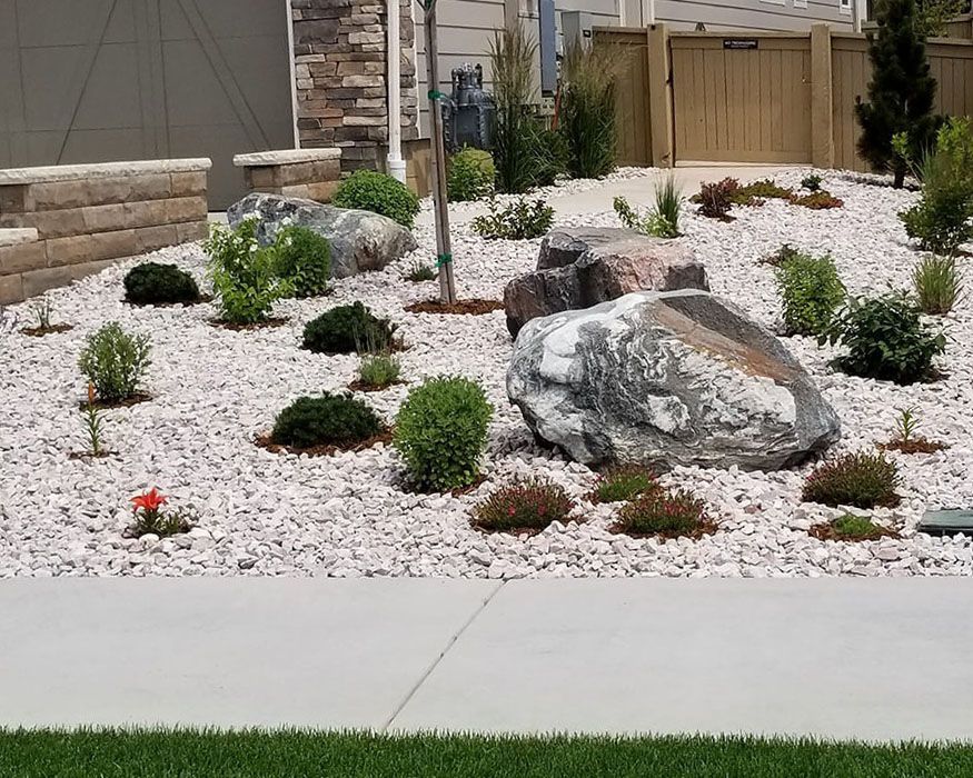 A garden with rocks and plants in front of a house
