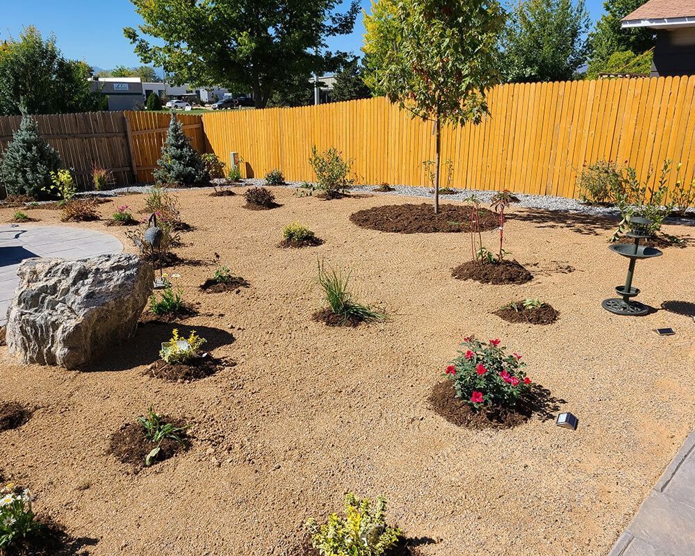 A backyard with a wooden fence and lots of plants