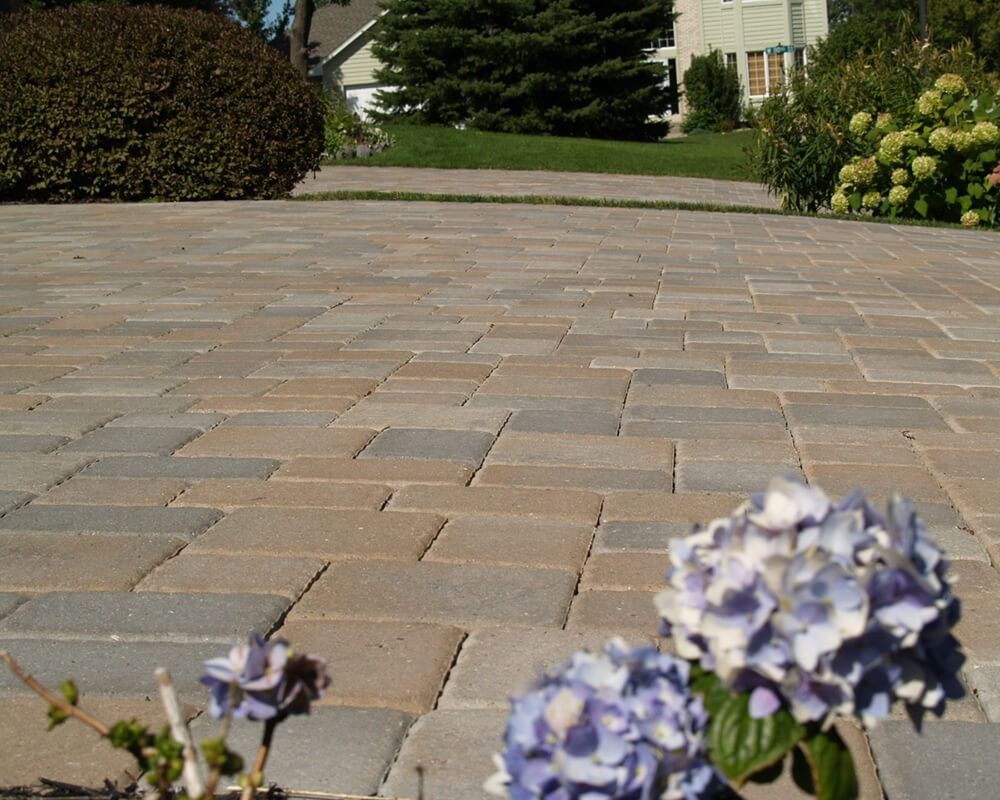 A brick driveway with purple flowers in the foreground