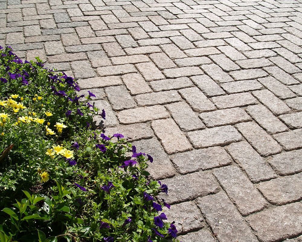 A brick walkway with flowers in the foreground
