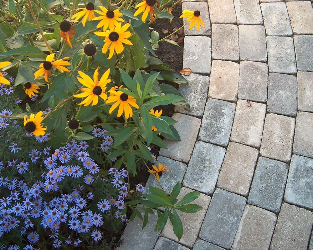 A brick walkway with flowers in the foreground