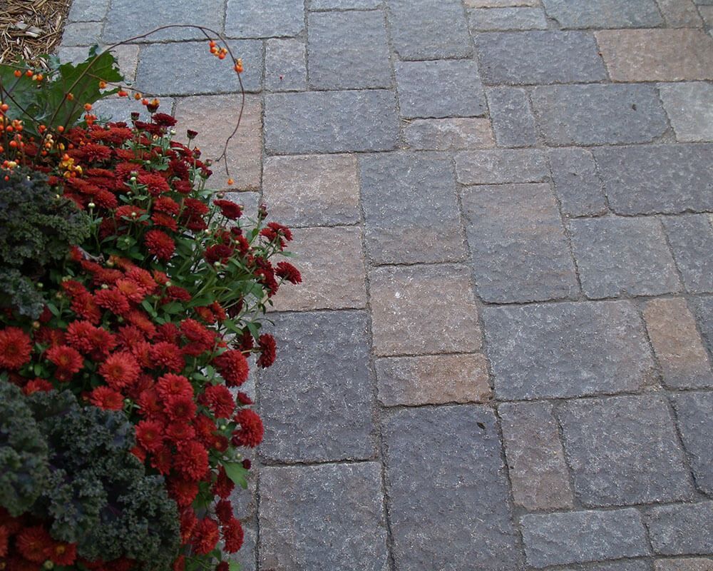 A planter filled with red flowers sits on a brick walkway